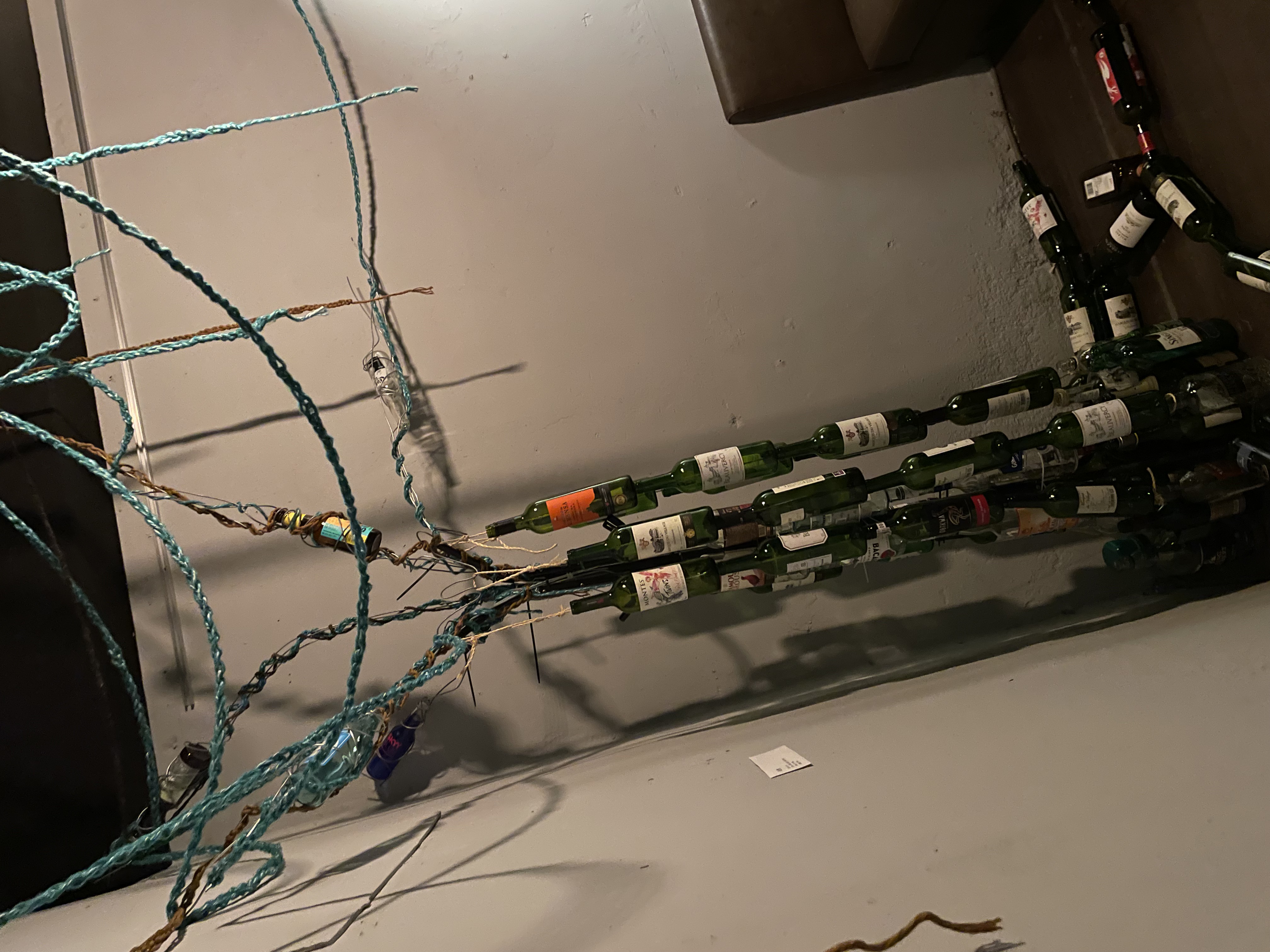 永生樹於展覽空間角落